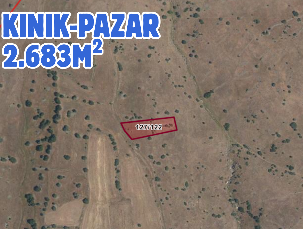 Fotoğraf